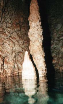 Cônes immergés dans la grotta Giusti (Monsummano Terme, Toscane)
